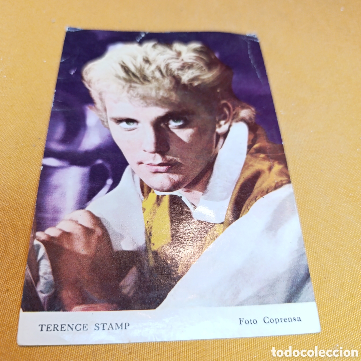 Kino: TERENCE STAMP,FOTO POSTAL ,FOTO COPRENSA