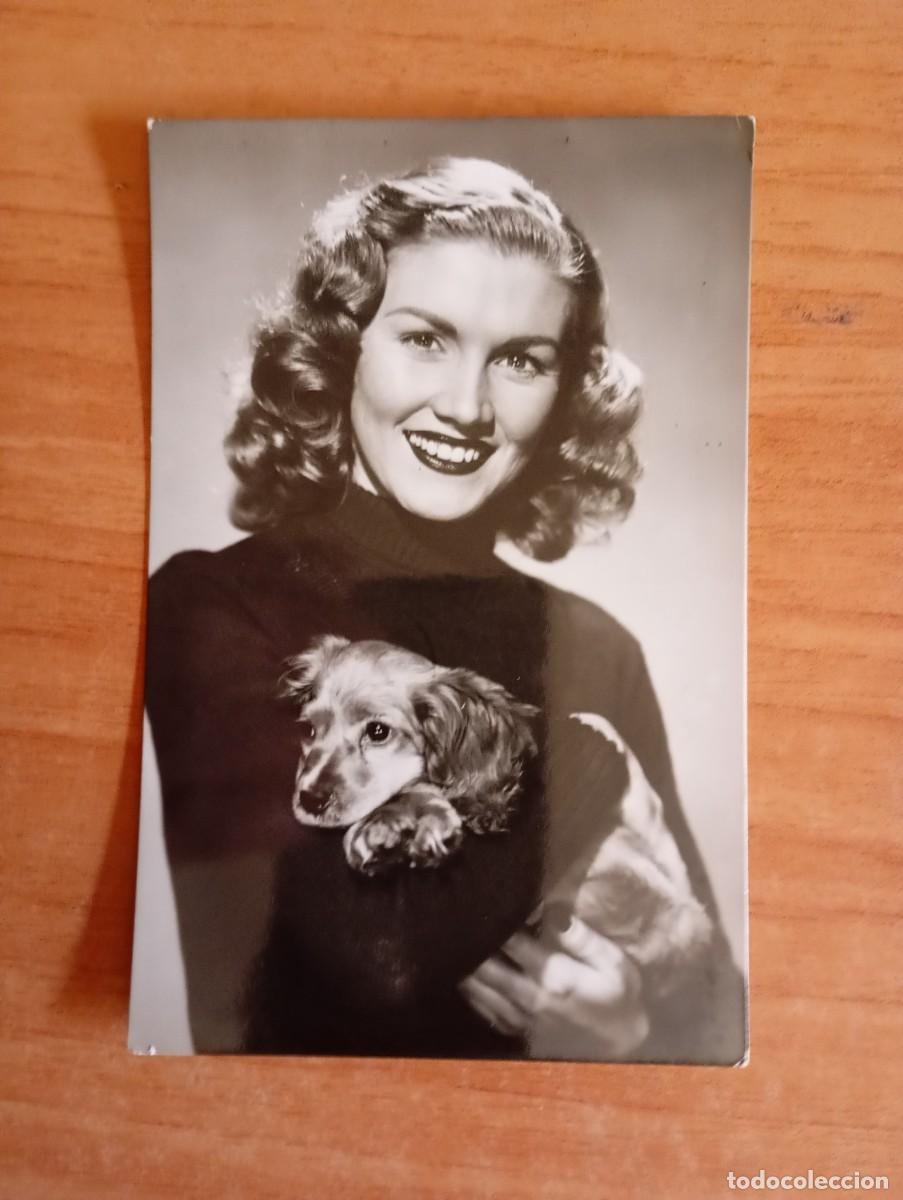 Kino: ALBPOS1--FOTO POSTAL DE ---FRANCIS BELLINI