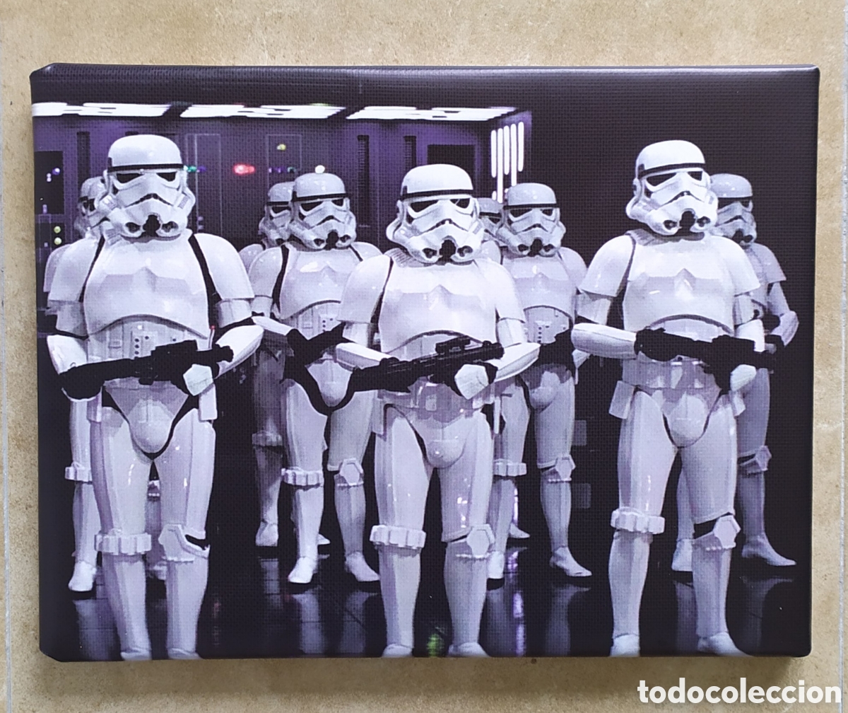 Cine: Cuadro SOLDADOS IMPERIALES star wars
