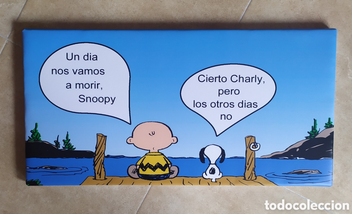 Cine: Cuadro SNOOPY y CARLITOS frase