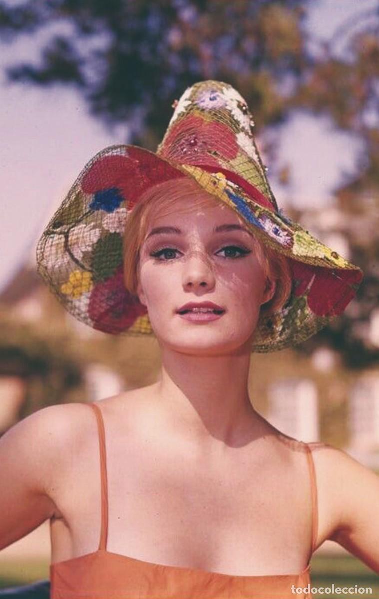 Cinema: Yvette Mimieux photo postcard (rp) divas oct-22