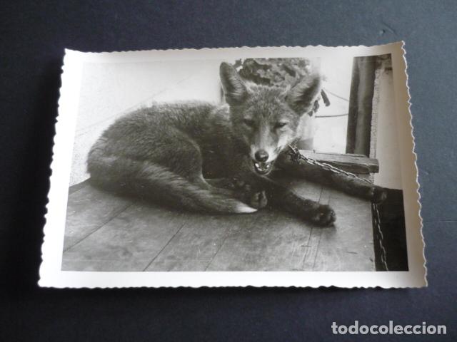 Cine: ZORRO ANTIGUA FOTOGRAFIA POR VIAJERO FRANCES 9 X 12,5 CM