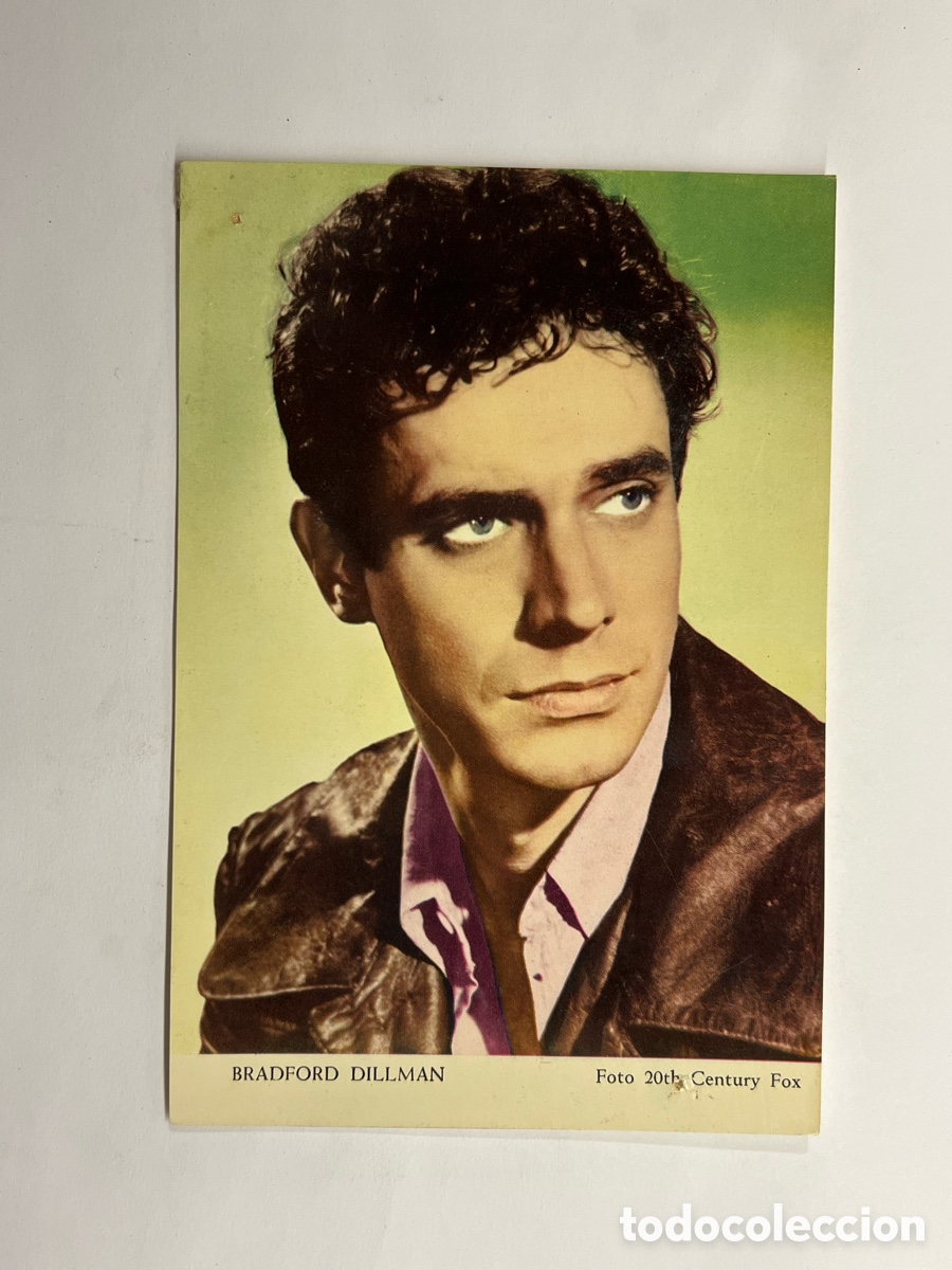 Cin&eacute;ma: BRADFORD DILLMAN.. Foto 20tk, Century Fox.. Med&iacute;das: 10,5 x 15,5 cm.,