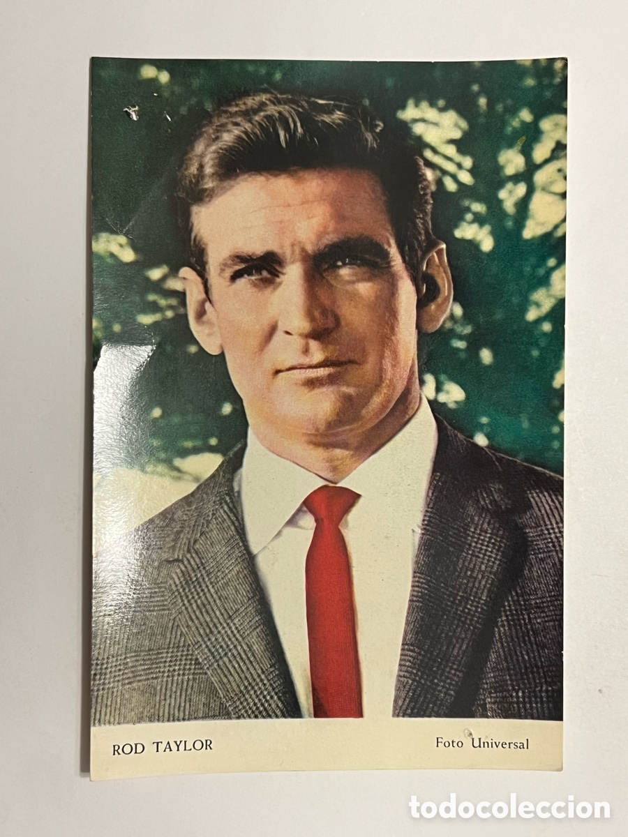 Cin&eacute;ma: ROD TAYLOR. Foto Universal, actores y actrices..