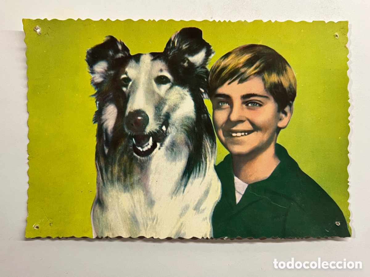 Cine: 1069, LASSIE Y JESS Actores y actrices.. Edic., Raker..