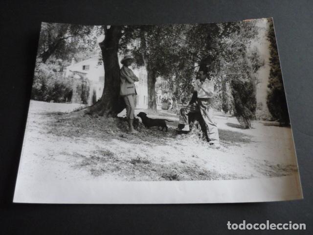 Cine: MARTINE CAROL ACTRIZ ANTIGUA FOTOGRAFIA 18 X 24 CM