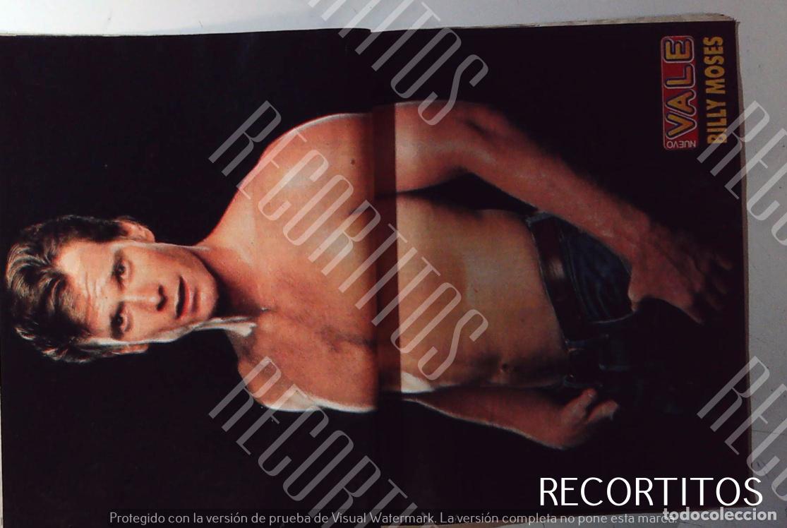 Kino: BILLY MOSES FALCON CREST POSTER