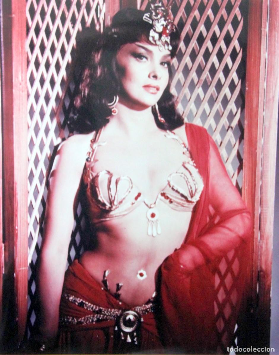 Cinema: GINA LOLLOBRIGIDA - FOTO 25x 20 APROX