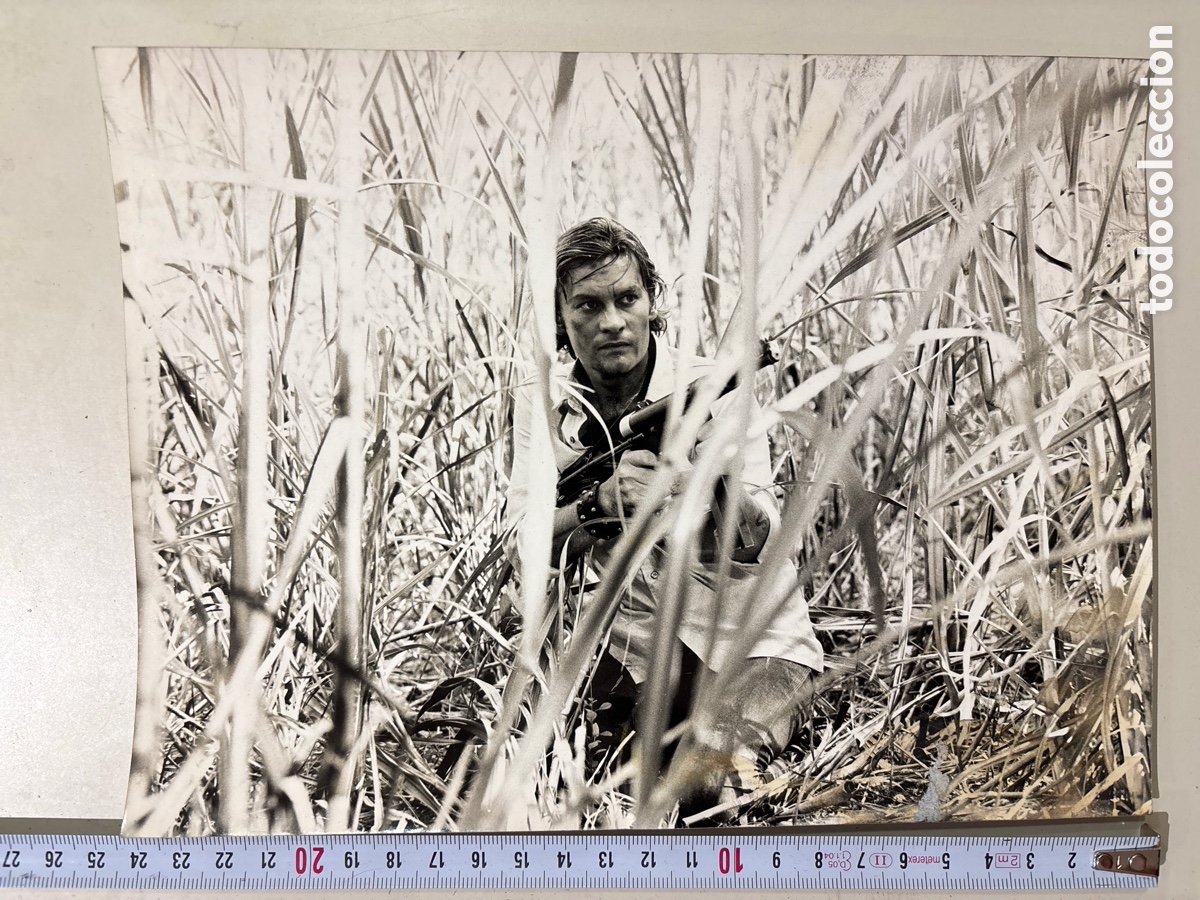 Kino: FOTO. T&Iacute;TULO: EL CLAN DE LOS INMORALES. HELMUT BERGER, SYDNE ROME, JUAN LUIS GALIARDO, JOS&Eacute; FERRER