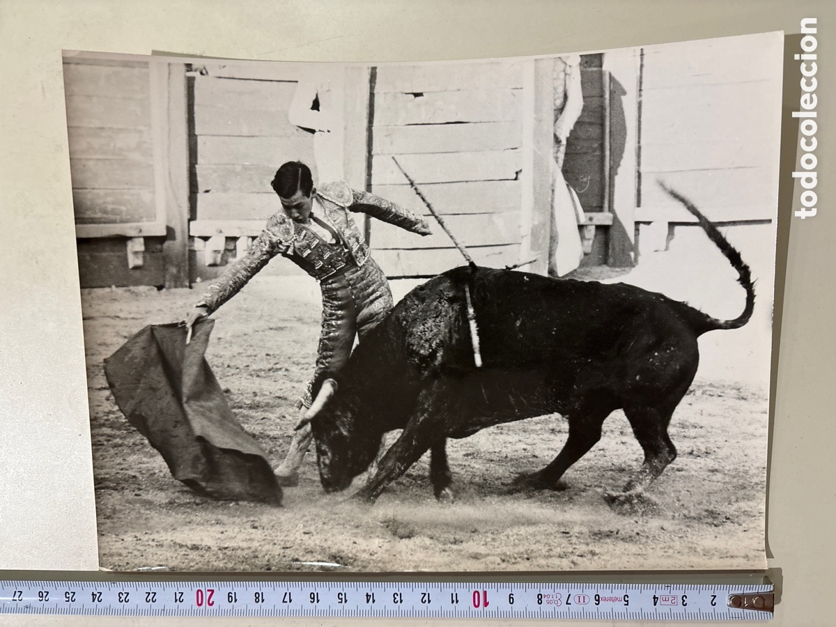 Cin&eacute;ma: FOTO. T&Iacute;TULO: SUENA EL CLAR&Iacute;N. JOS&Eacute; LUIS DE LA CASA, GABRIEL DE LA CASA, &Aacute;NGEL DE ANDR&Eacute;S, MANOLO COD