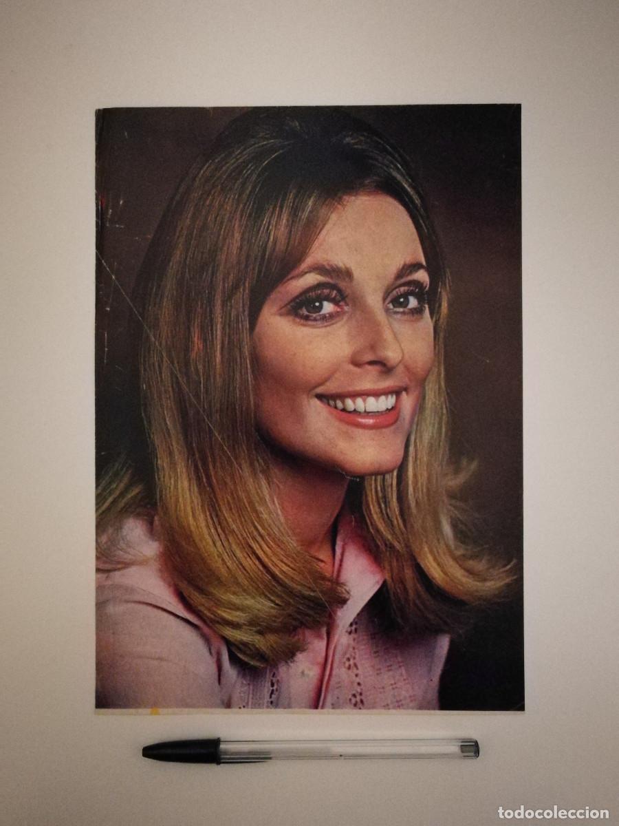 Cin&eacute;ma: ANTIGUO ANUNCIO ENCARTONADO - A4- SHARON TATE