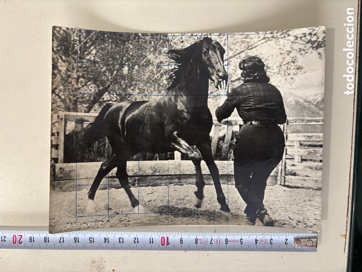 Cine: FOTO. T&Iacute;TULO: VIENTO SALVAJE. ANNA MAGNANI, ANTHONY QUINN, ANTHONY FRANCIOSA. DIREC. GEORGE CUKOR.