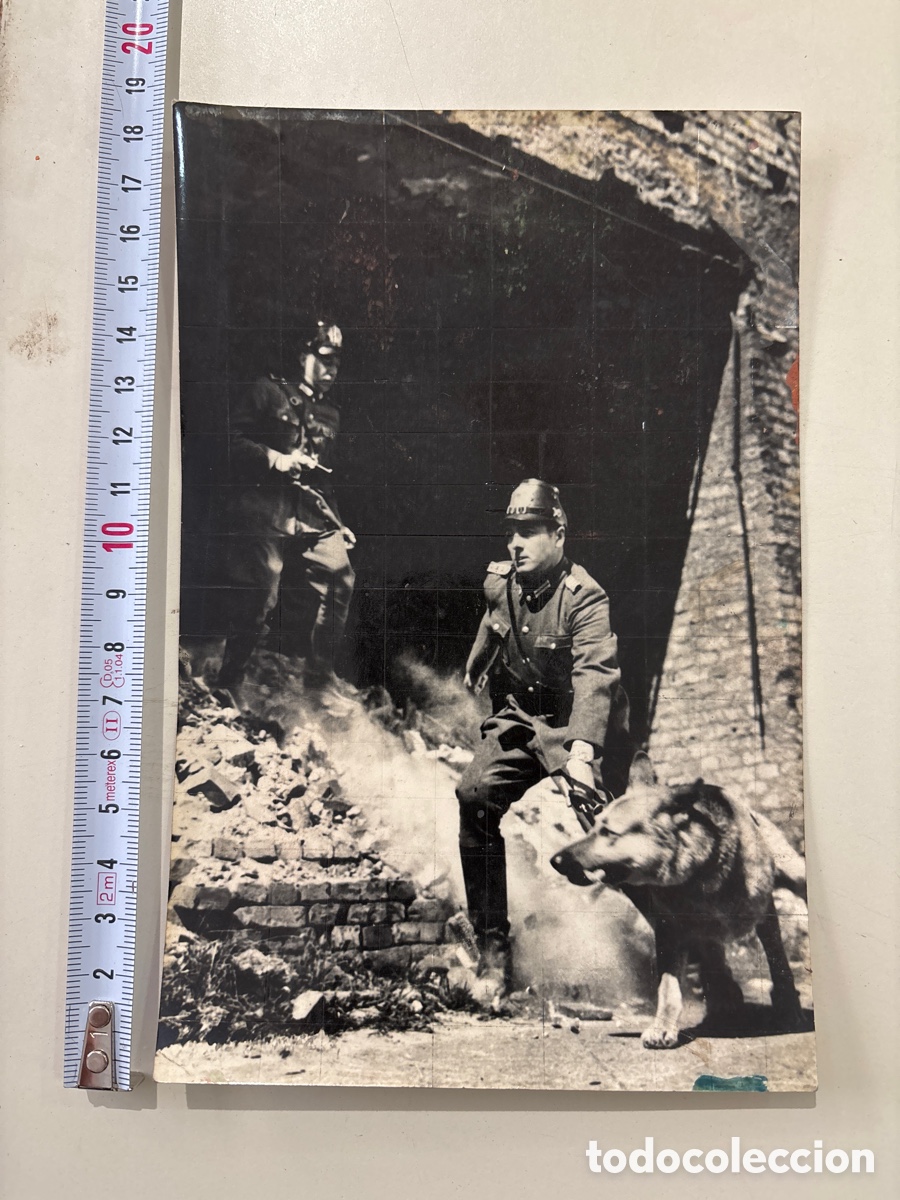 Cine: FOTO. TITULO: PENDIENTE DE UN HILO. DIRECTOR ANDRE DE TOTH.