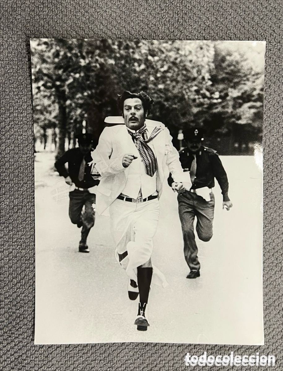 Cinema: 3 PUPA, CHARLIE Y SU GORILA dirigida por Giorgio Capitani, con Sophia Loren, Marcello Mastroianni