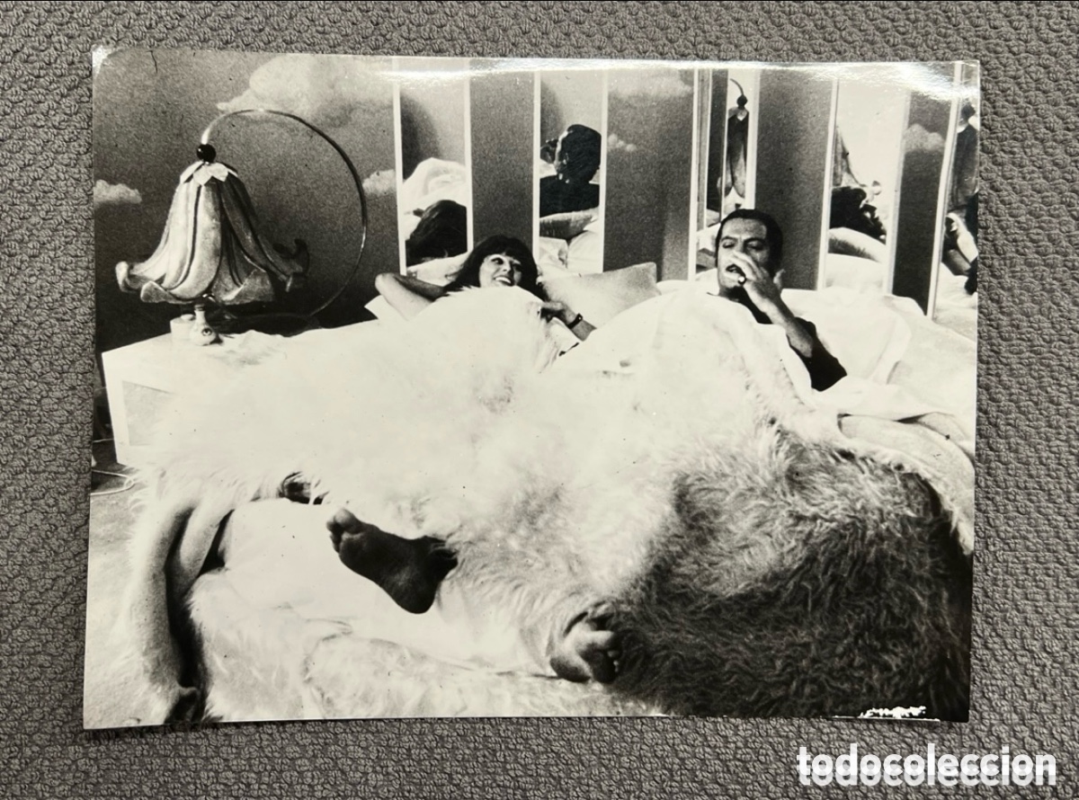 Cinema: 5 PUPA, CHARLIE Y SU GORILA dirigida por Giorgio Capitani, con Sophia Loren, Marcello Mastroianni