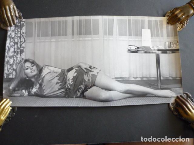 Cinema: MARIANNE HILL ACTRIZ ANTIGUA FOTOGRAFIA 1970 16 X 31,5 CM