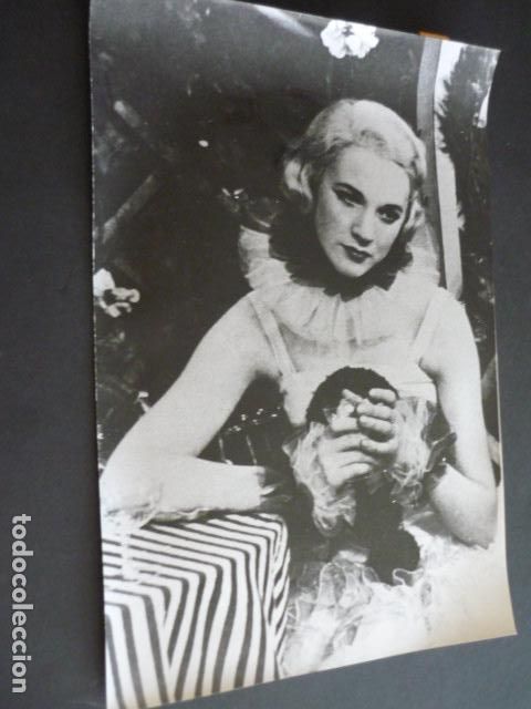 Cin&eacute;ma: JULIE ANDREWS ACTRIZ ANTIGUA FOTOGRAFIA 20 X 30 CM