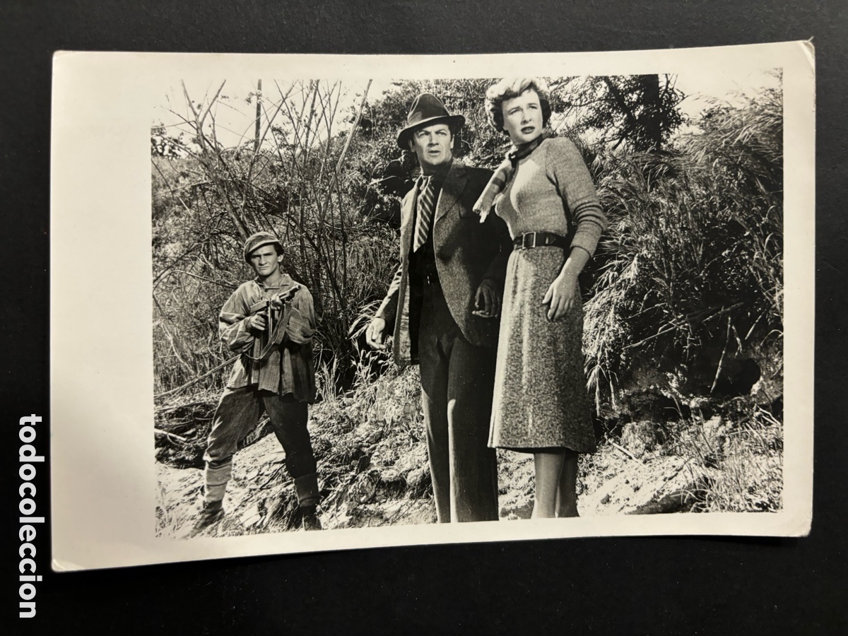 Kino: Foto original guantes grises Cornel wilde