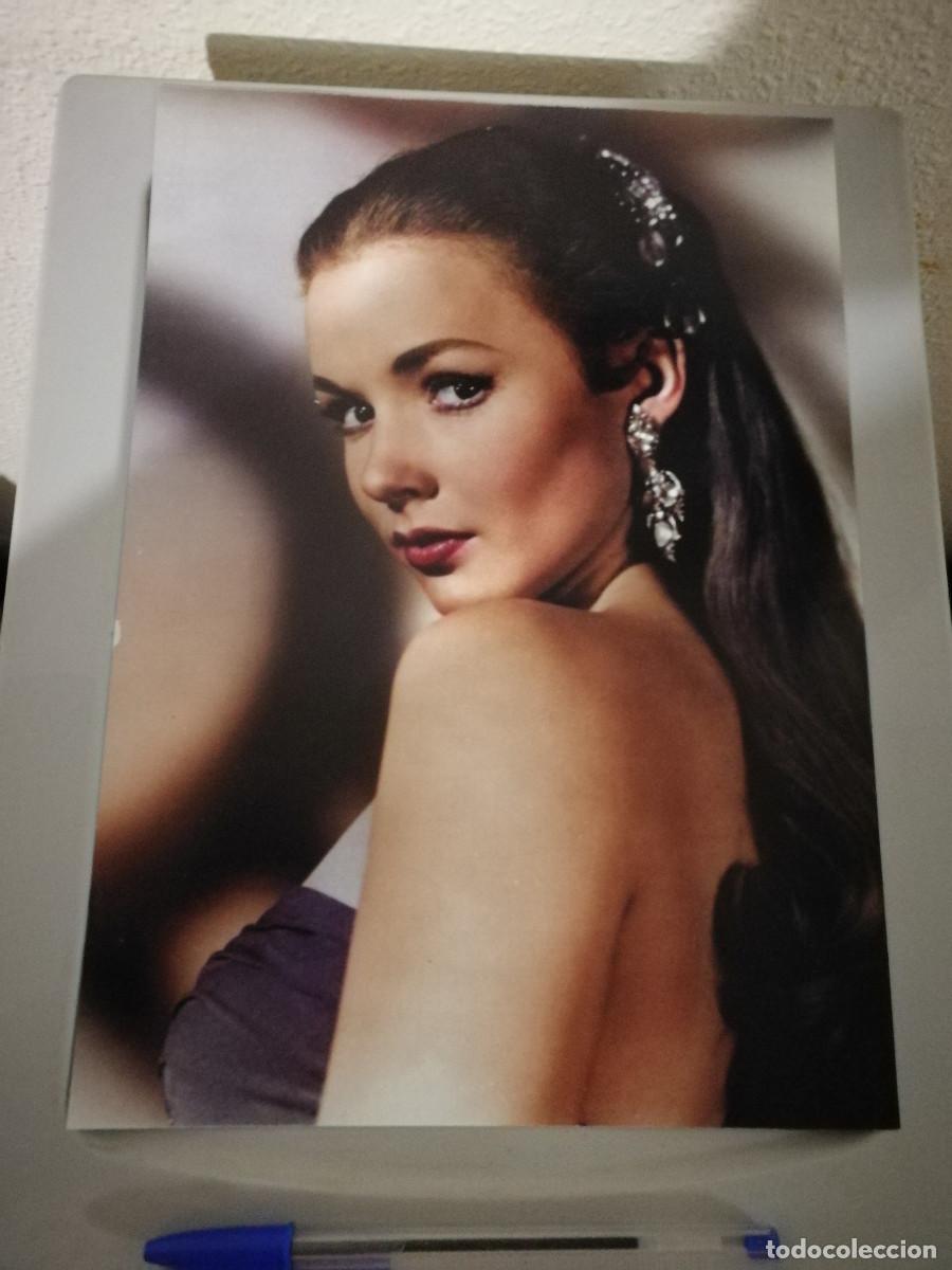 Cinema: FICHA COLECCIONABLE -A4- PIPER LAURIE