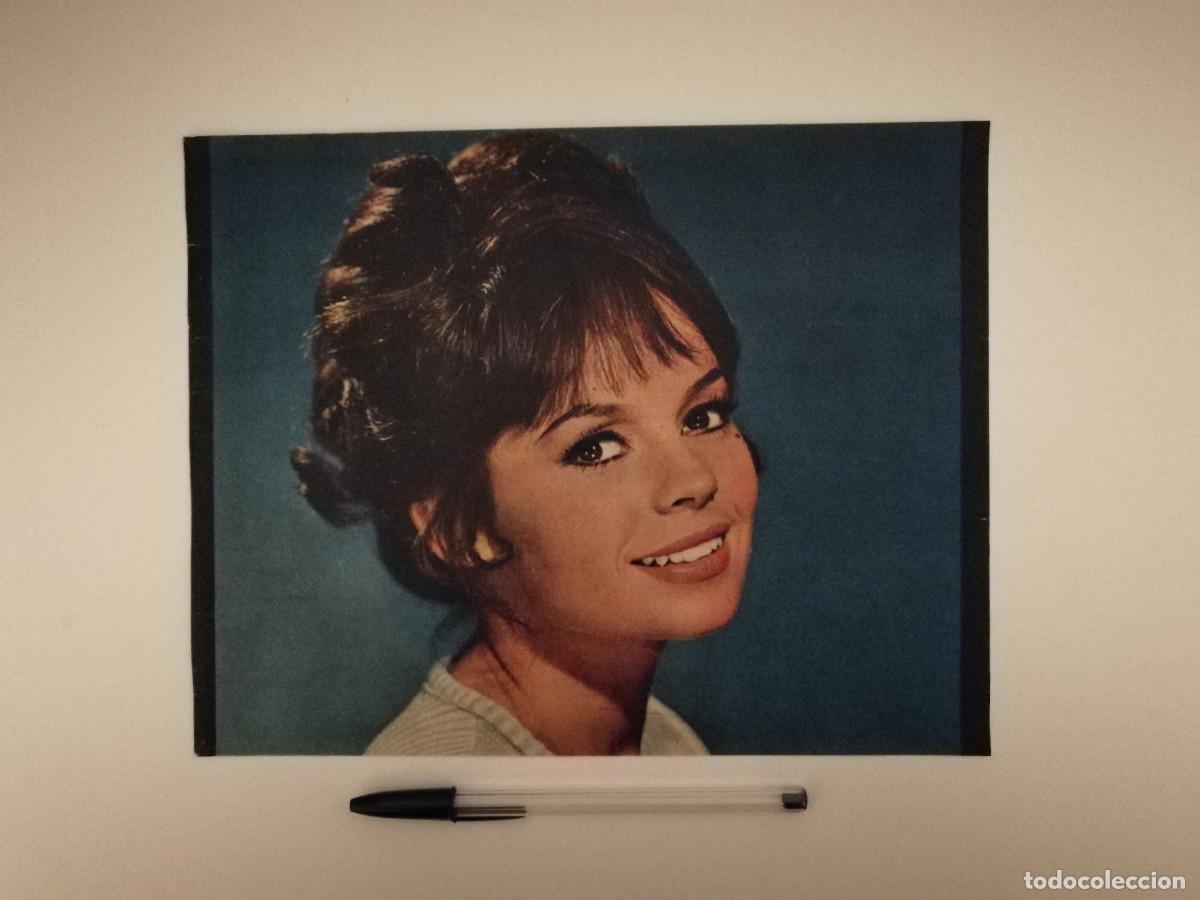 Kino: ANTIGUO ANUNCIO ENCARTONADO - Pascale Petit