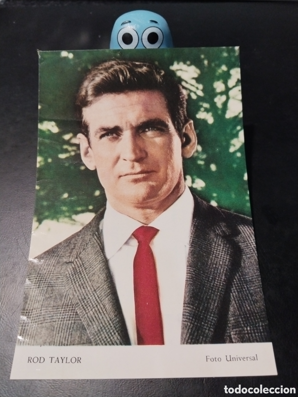 Kino: Fotograf&iacute;a de Ros Taylor