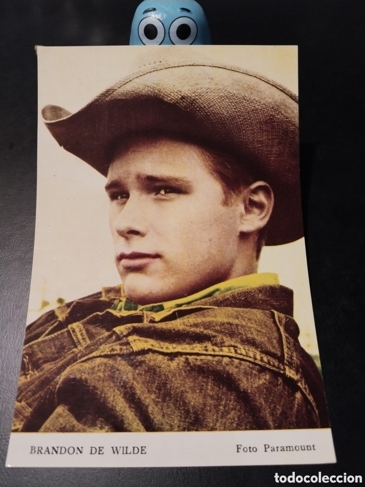 Kino: Fotograf&iacute;a de Brandon de Wilde