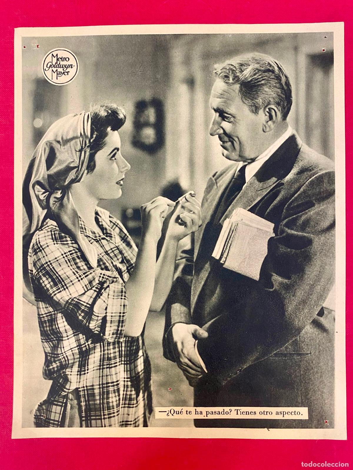 Cine: EL PADRE ES ABUELO. UNA PEL&Iacute;CULA DE METRO GOLDWYN MAYER- 19X23,5 cm
