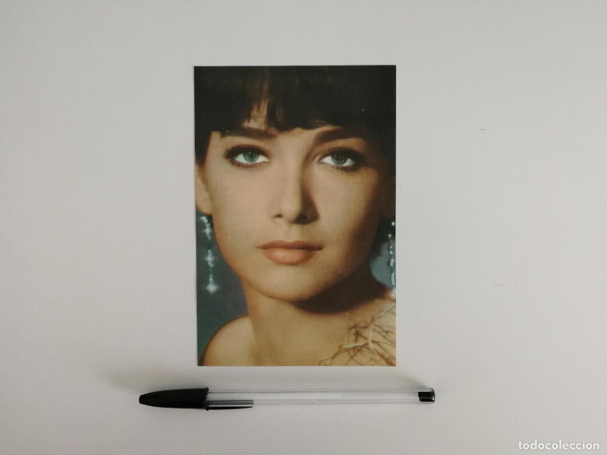 Kino: TARJETA ACARTONADA -10*15- Suzanne Pleshette