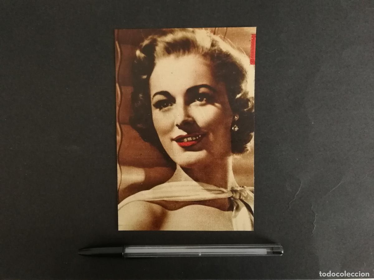 Kino: TARJETA ACARTONADA -10*15- ELEANOR PARKER