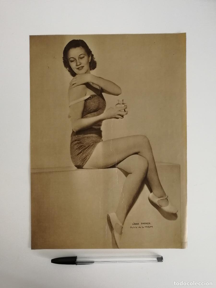 Kino: ANTIGUO ANUNCIO ENCARTONADO -A4- LINDA PARKER - BA&Ntilde;ADOR - ARTISTA DE LA MGM