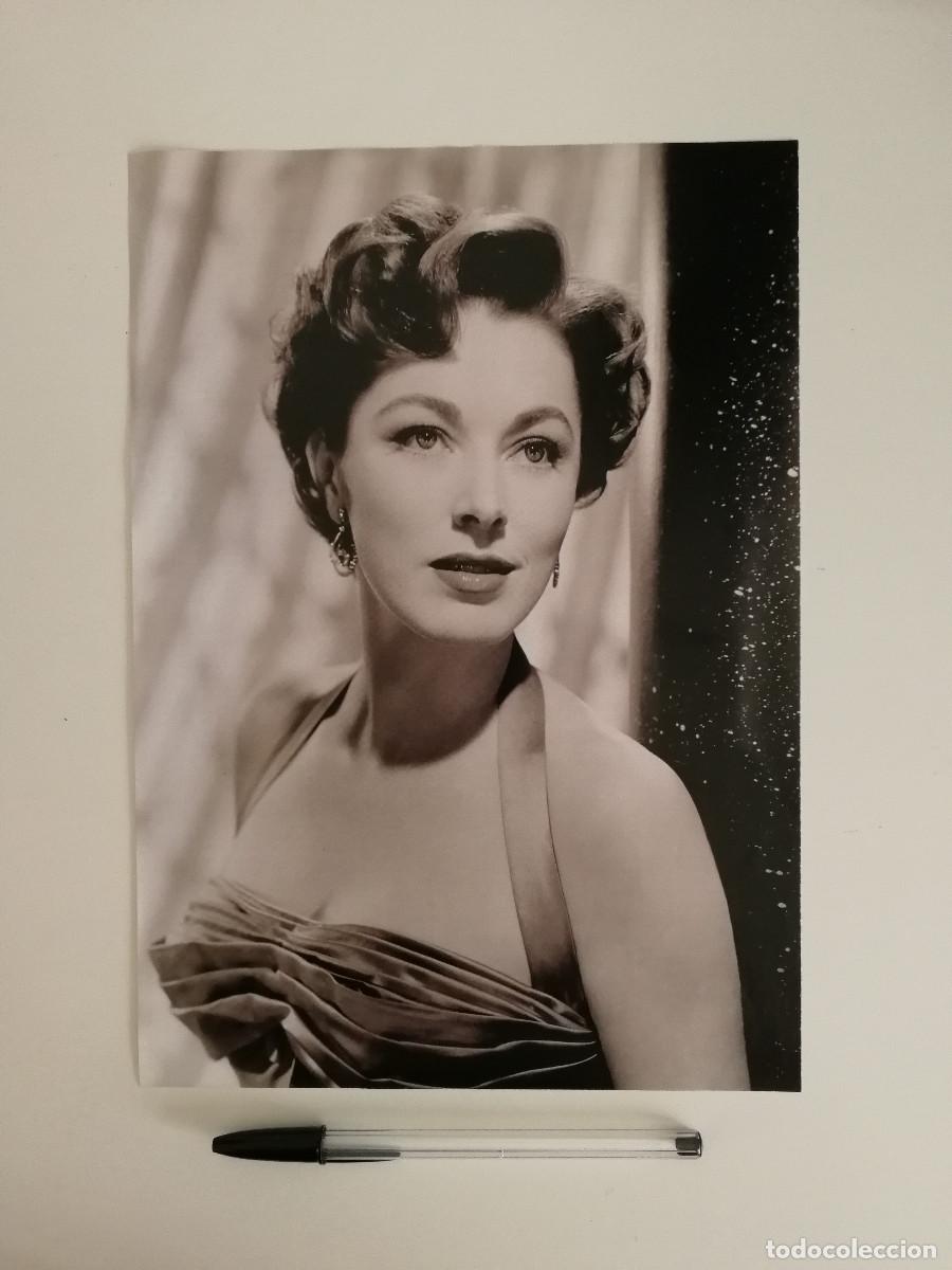 Kino: FICHA COLECCIONABLE -A4- ELEANOR PARKER