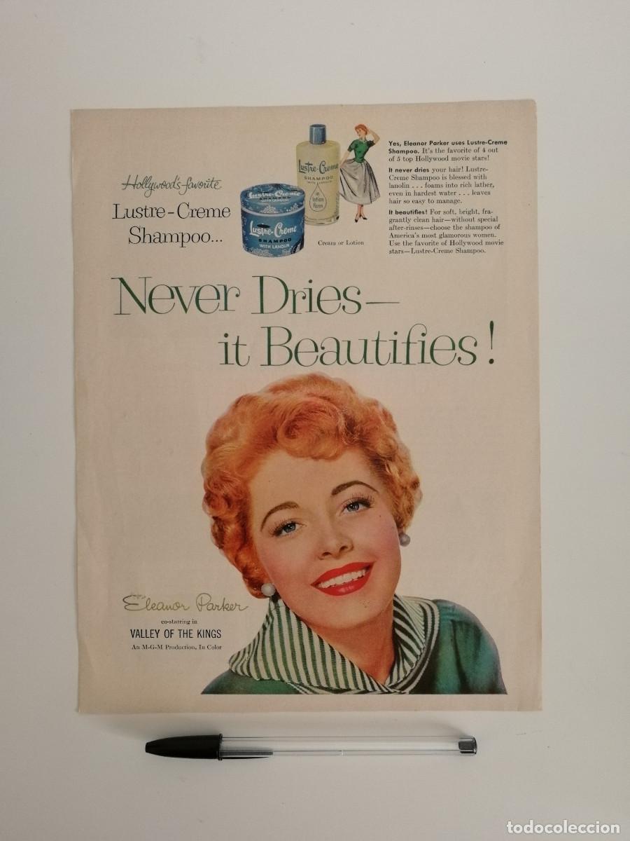 Kino: ANTIGUA LAMINA PUBLICITARIA -A4- ELEANOR PARKER - SHAMPOO - VINTAGE - PUBLICIDAD - LUSTRE CREME