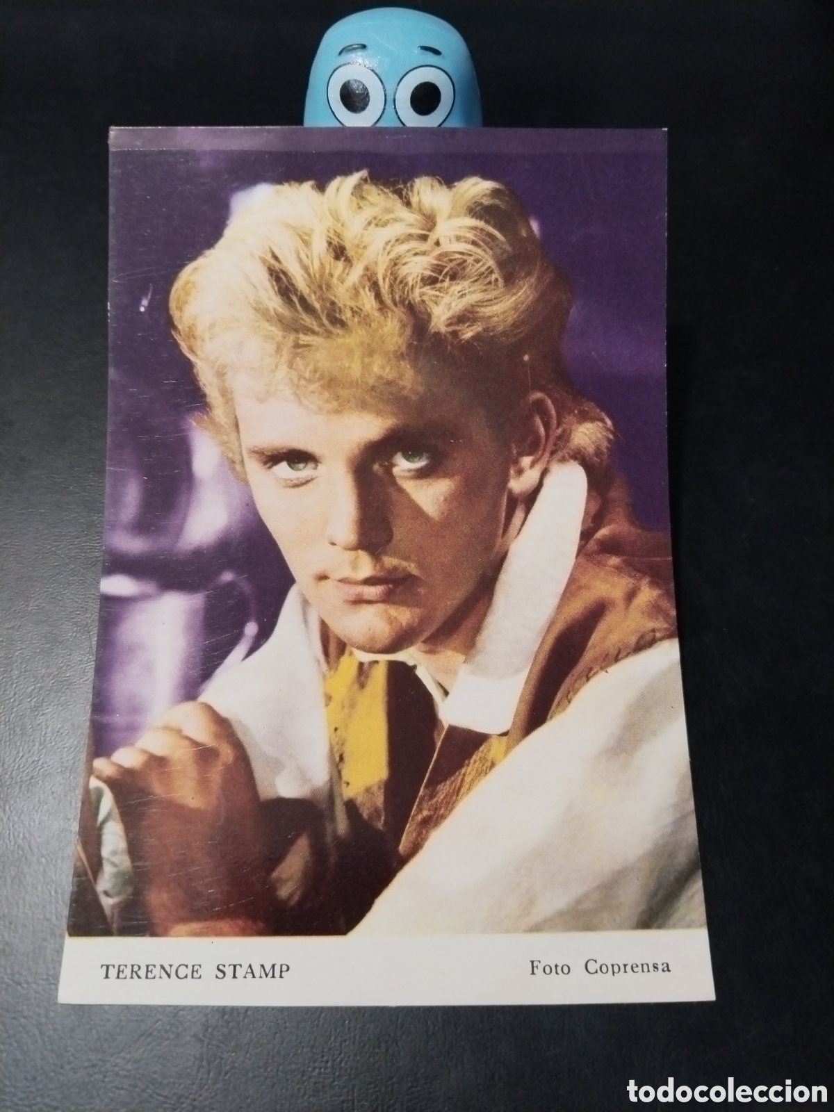 Kino: Fotograf&iacute;a de Terence Stamp