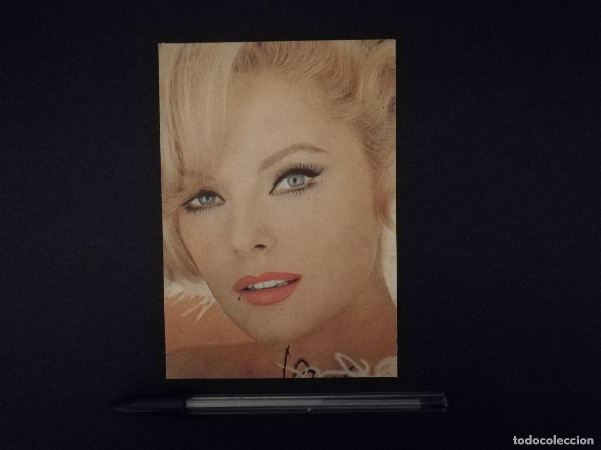 Cinema: TARJETA ACARTONADA -10*15- VIRNA LISI