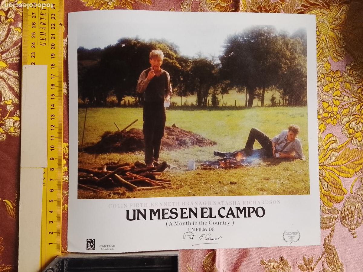 Cin&eacute;ma: CARTEL AFICHE FOTOCROMO ORIGINAL - un mes en el campo