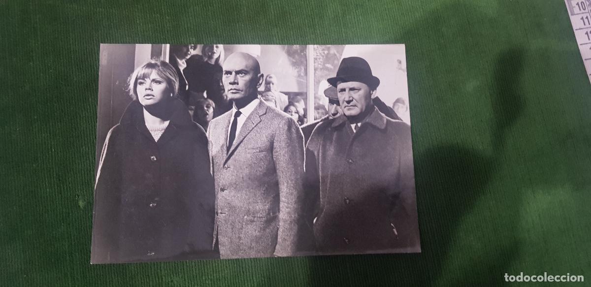 Cine: ALPES 1967-YUL BRYNNER-BRITT EKLAND-CIVE REVILL-ANTON DIFFRNG