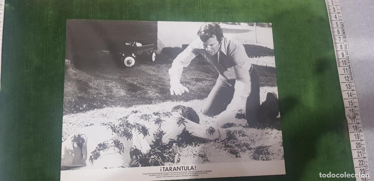 Cine: TARANTULA 1955-JOHN AGAR-MARA CORDAY-LEO G.CAROLL