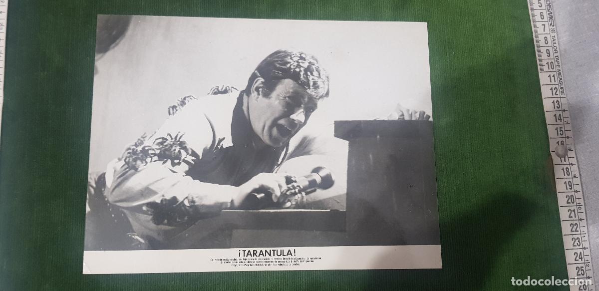 Cine: TARANTULA 1955-JOHN AGAR-MARA CORDAY-LEO G.CAROLL