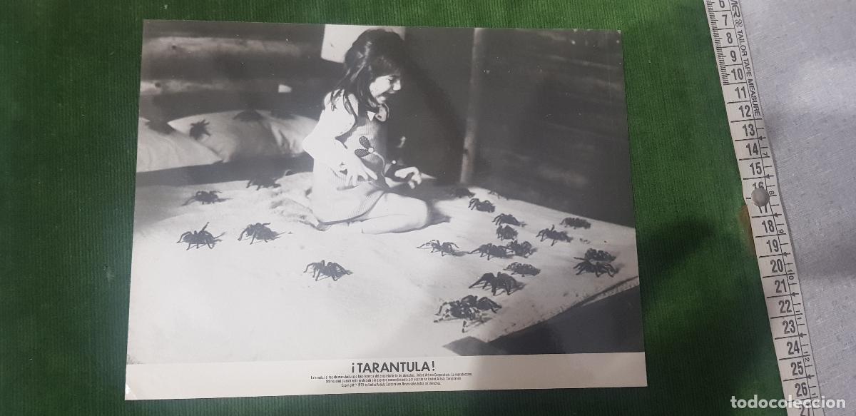 Cine: TARANTULA 1955-JOHN AGAR-MARA CORDAY-LEO G.CAROLL