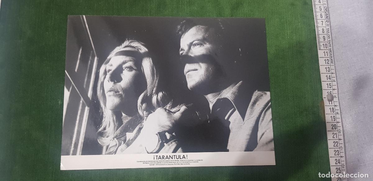 Cine: TARANTULA 1955-JOHN AGAR-MARA CORDAY-LEO G.CAROLL