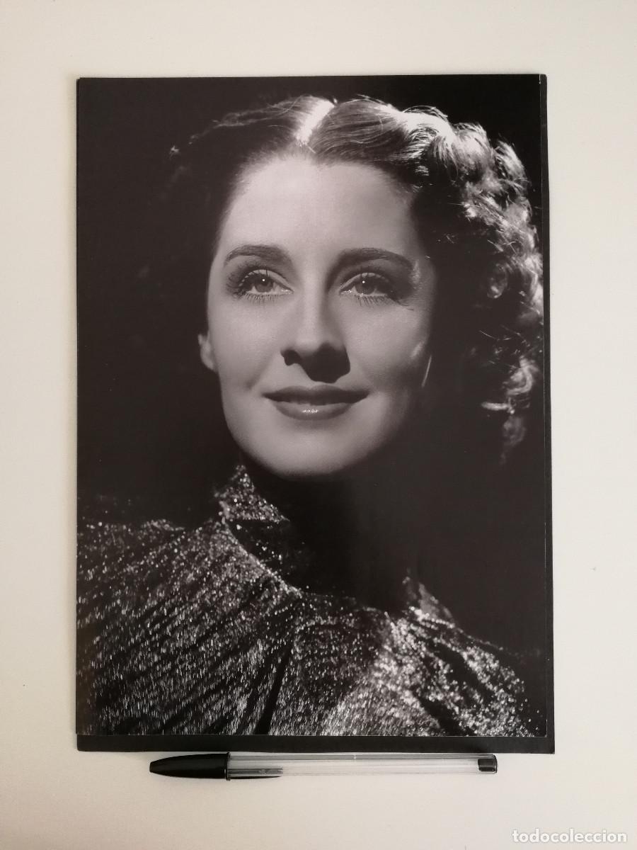 Cinema: LAMINA ACARTONADA -A4- Norma Shearer
