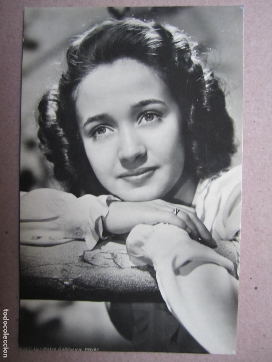 Cin&eacute;ma: jane powell - postal original b/n - cinema actress