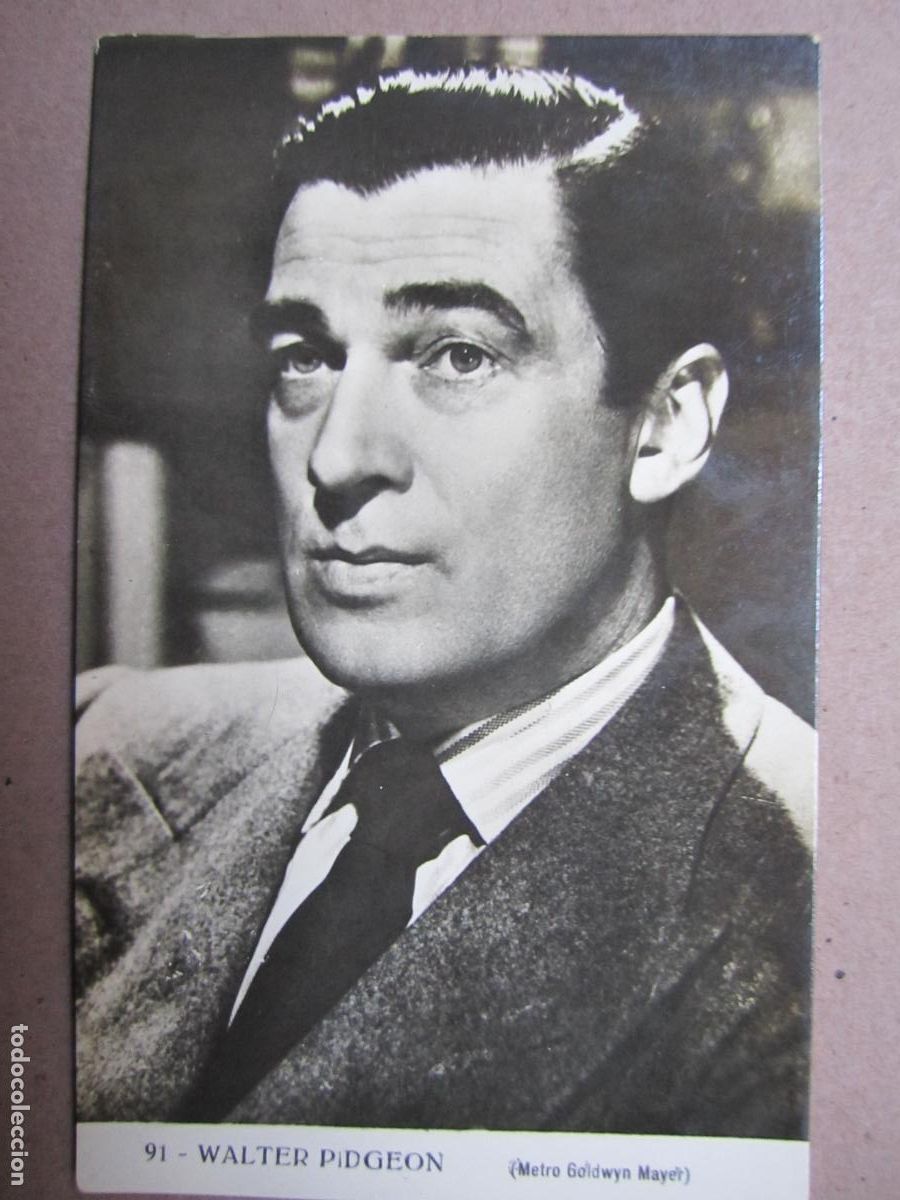 Cin&eacute;ma: walter pidgeon - postal original b/n - cinema actor - metro goldwyn mayer