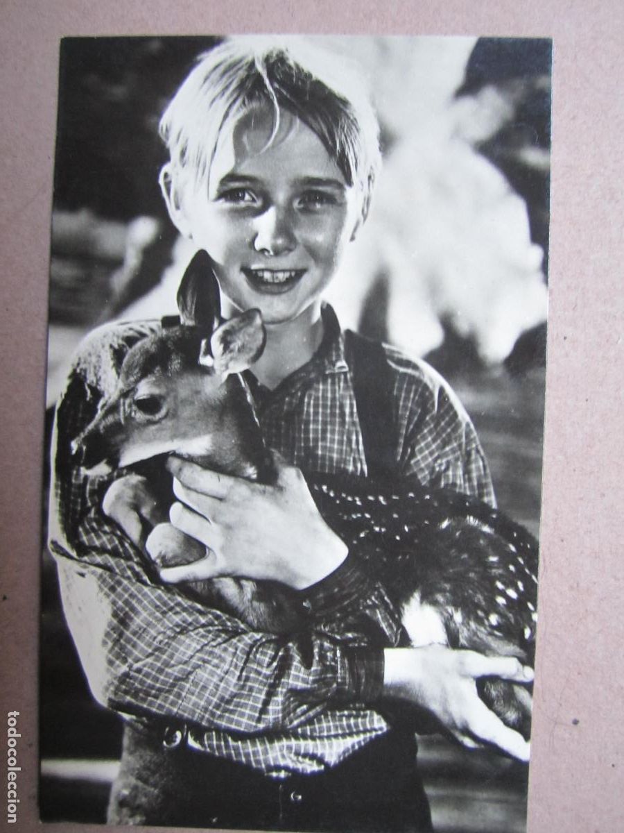 Cine: claude jarman jr. - postal original b/n - cinema actor - el despertar