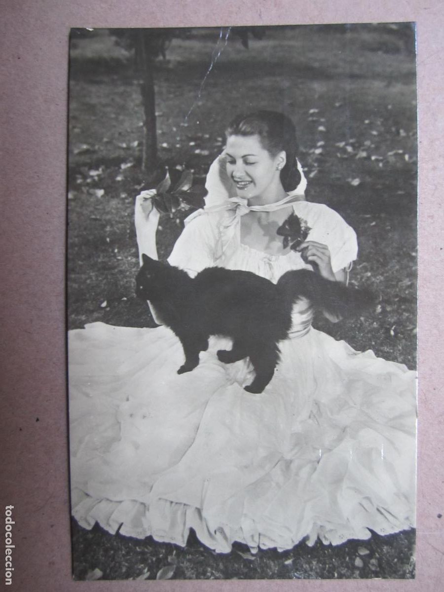 Cine: yvonne de carlo - postal original b/n - cinema actress - cat gato