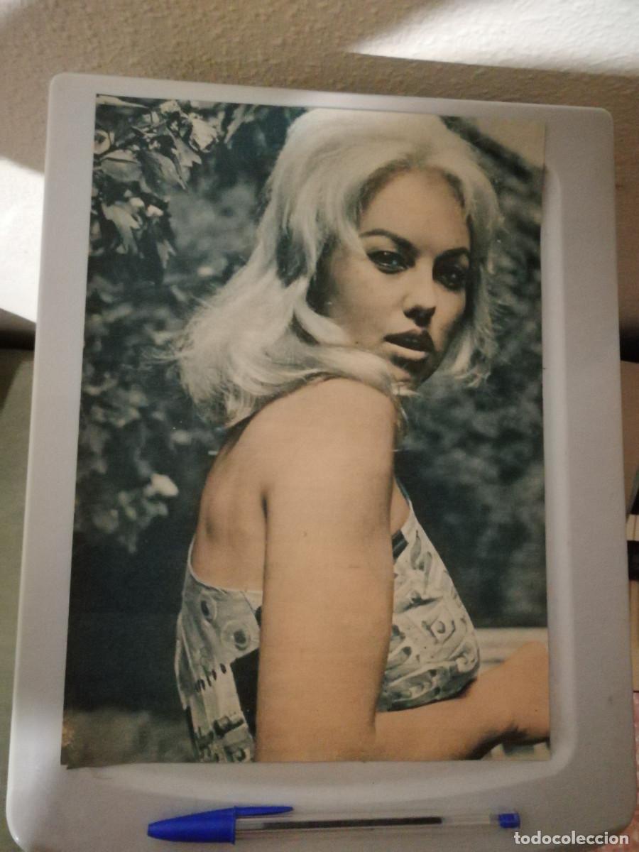 Cin&eacute;ma: ANTIGUO ANUNCIO ENCARTONADO -A4- Myl&egrave;ne Demongeot