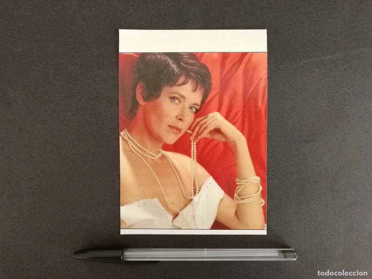 Cine: TARJETA ACARTONADA -10*15- Sylvia Kristel