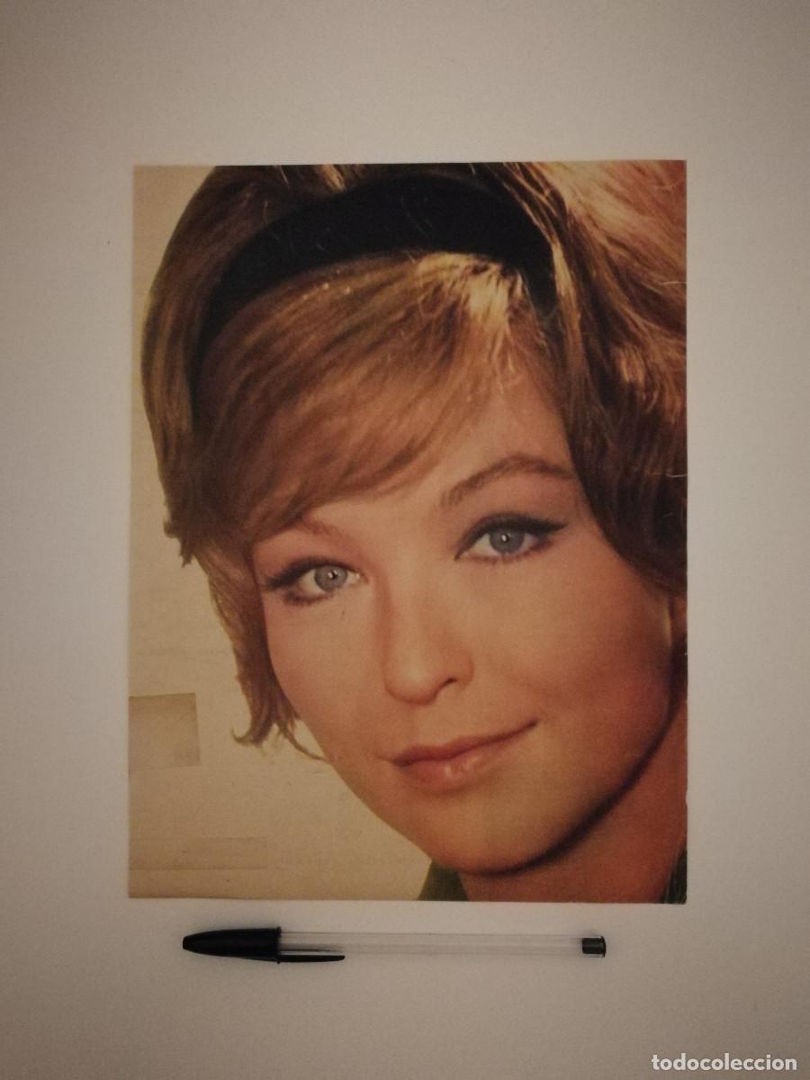 Cinema: ANTIGUO ANUNCIO ENCARTONADO -A4- Marina Vlady