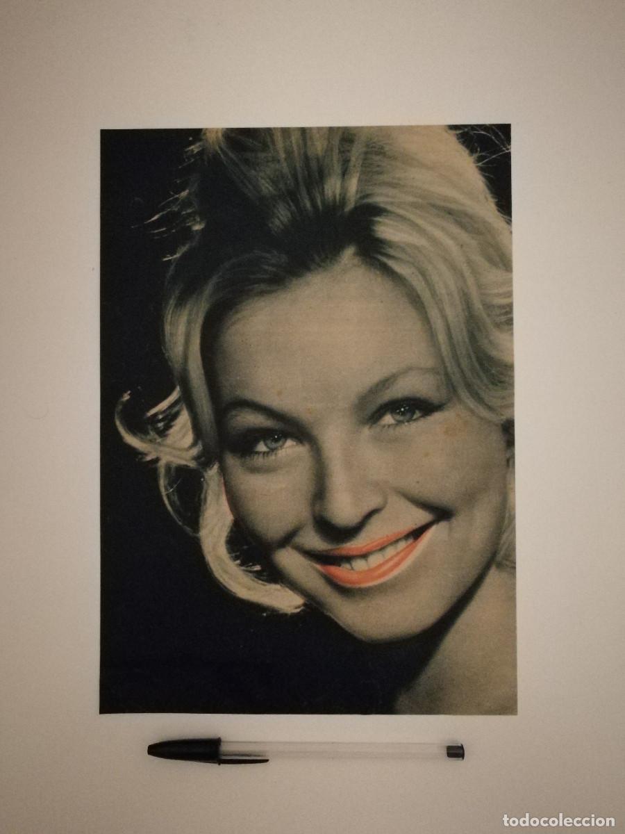 Cinema: ANTIGUO ANUNCIO ENCARTONADO -A4- Marina Vlady