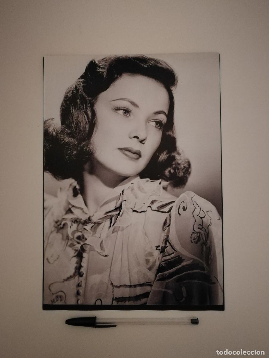 Cin&eacute;ma: LAMINA ACARTONADA -A4- Gene Tierney